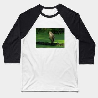 Juvenile Night heron Baseball T-Shirt